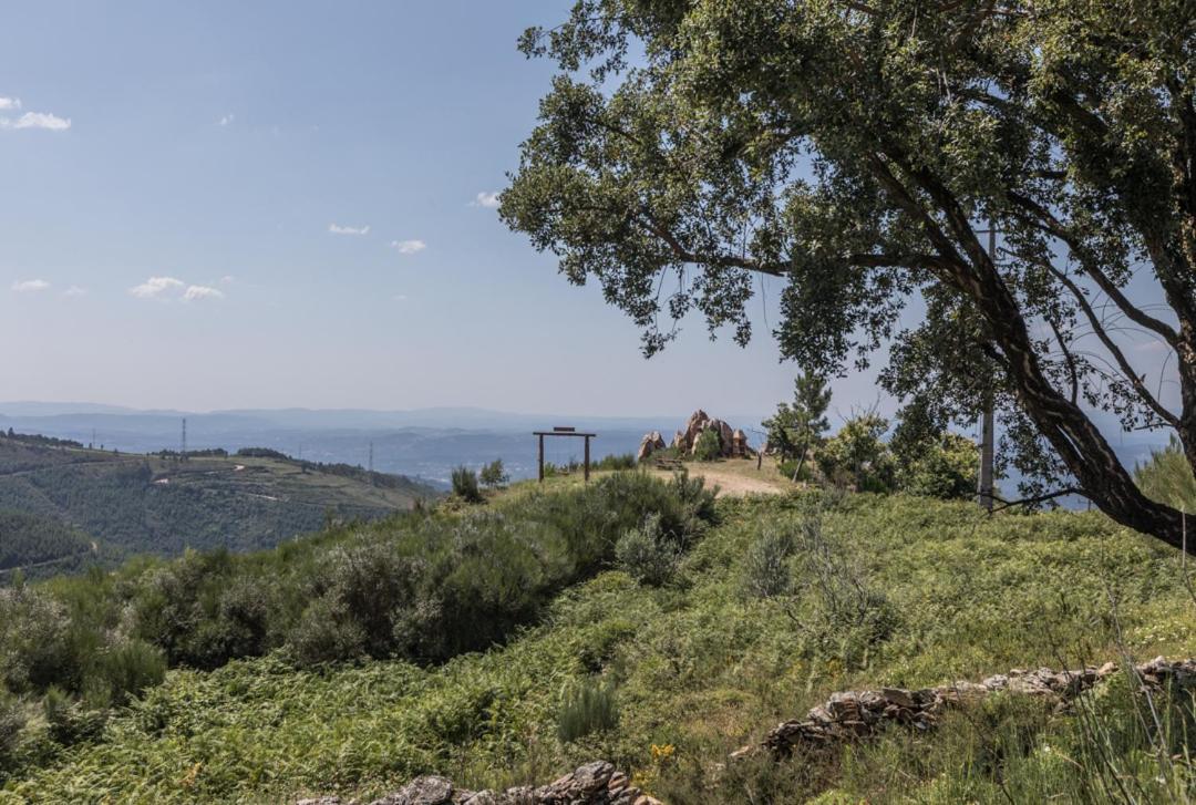 Casa Da Avo Emilia Villa Arganil Bagian luar foto