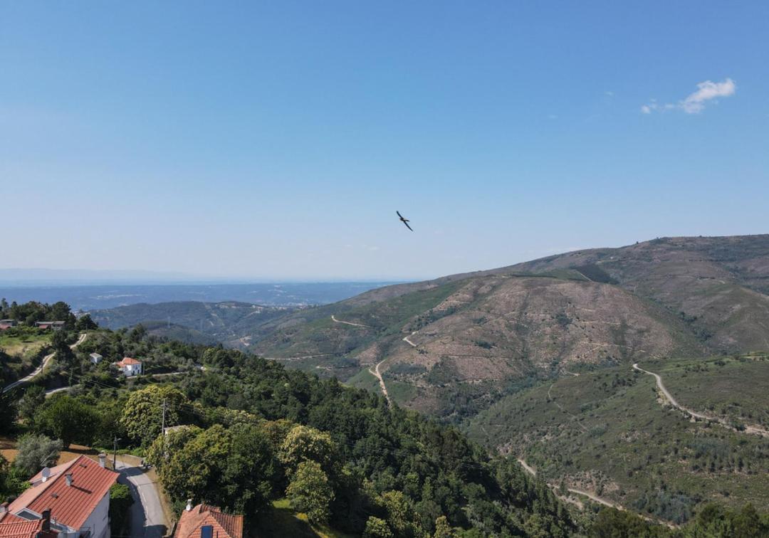 Casa Da Avo Emilia Villa Arganil Bagian luar foto