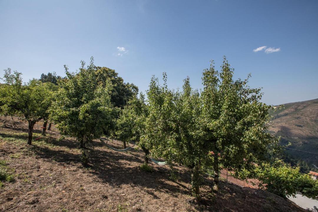 Casa Da Avo Emilia Villa Arganil Bagian luar foto