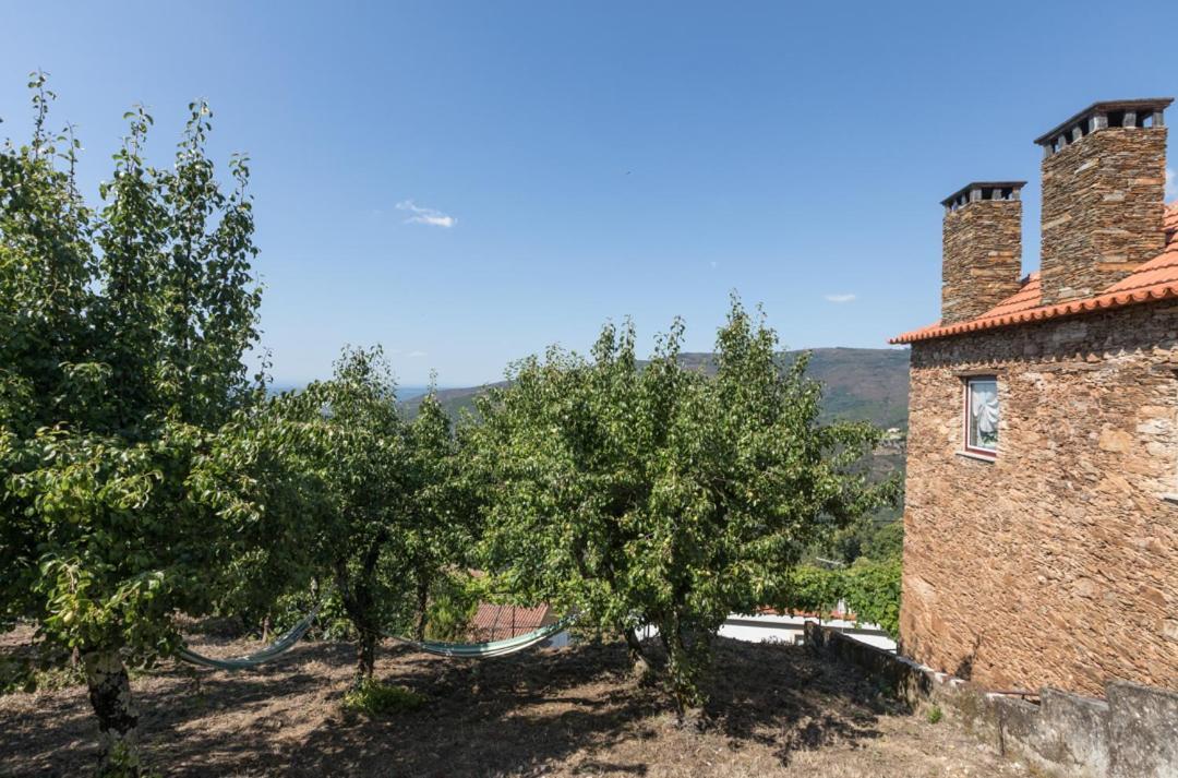 Casa Da Avo Emilia Villa Arganil Bagian luar foto